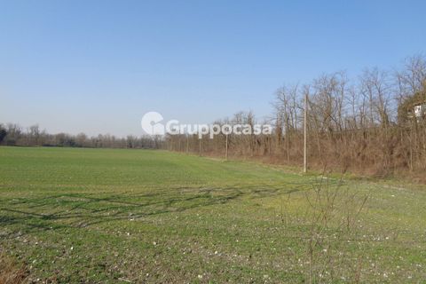 Terra a Magenta, Milan, Magenta - € 272.000 | Ref: Magenta zona pietrasanta - foto 6