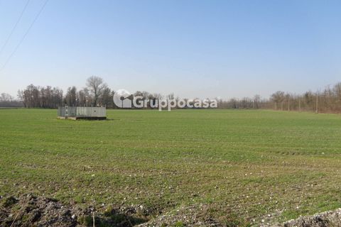 Terra a Magenta, Milan, Magenta - € 272.000 | Ref: Magenta zona pietrasanta - foto 7