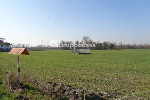 Terra a Magenta, Milan, Magenta - € 272.000 | Ref: Magenta zona pietrasanta - foto 9