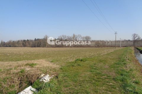 Terra a Magenta, Milan, Magenta - € 272.000 | Ref: Magenta zona pietrasanta - foto 11
