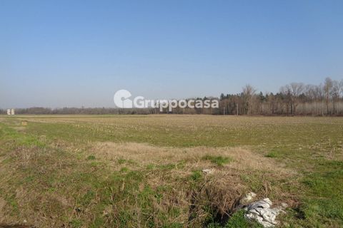 Terra a Magenta, Milan, Magenta - € 272.000 | Ref: Magenta zona pietrasanta - foto 14