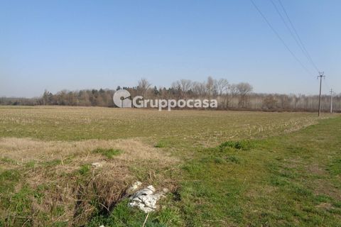 Terra a Magenta, Milan, Magenta - € 272.000 | Ref: Magenta zona pietrasanta - foto 15