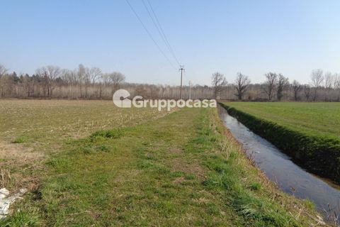 Terra a Magenta, Milan, Magenta - € 272.000 | Ref: Magenta zona pietrasanta - foto 16