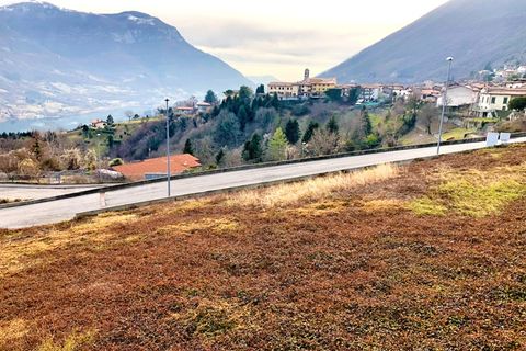 Terra a Ranzanico, Bergamo, Ranzanico - € 95.000 | Ref: ranzanico1010_1 - foto 7