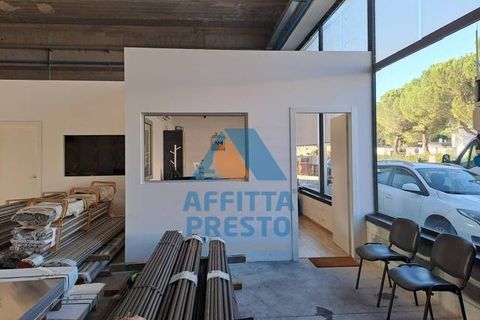 L'establiment comercial a Capraia e Limite, Florence, Capraia e Limite - € 2.100/mes | Ref: CC6709 - foto 8