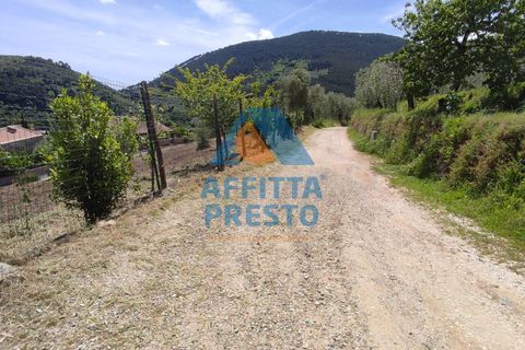 Terra a Buti, Pisa, Buti - € 40.000 | Ref: ST0100 - foto 2