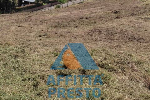 Terra a Buti, Pisa, Buti - € 40.000 | Ref: ST0100 - foto 3