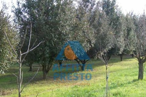 Helårsgrund i Empoli, Florence, Empoli - € 50.000 | Ref: TD0072 - foto 3
