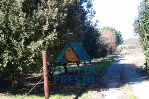 Helårsgrund i Empoli, Florence, Empoli - € 50.000 | Ref: TD0072 - foto 4