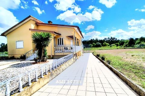 Villa i Cantanhede, Coimbra, Cantanhede - € 300.000 | Ref: CAS_1162 - foto 32