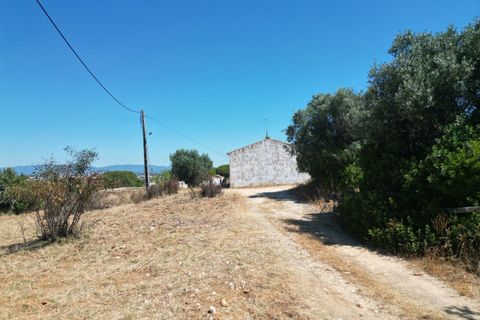 Helårsgrund i Lagoa, Faro, Lagoa - € 550.000 | Ref: SF-SAFTI:005418 - foto 8