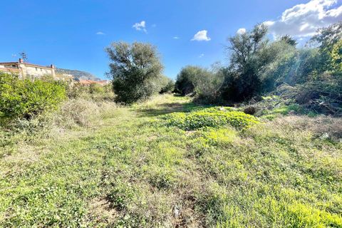 Helårsgrund i Palermo, Palermo, Palermo - € 47.000 | Ref: 54279388 - foto 2