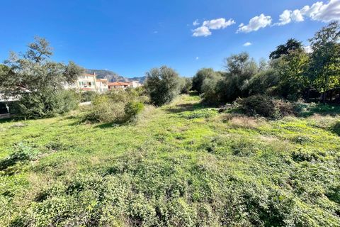 Helårsgrund i Palermo, Palermo, Palermo - € 47.000 | Ref: 54279388 - foto 6