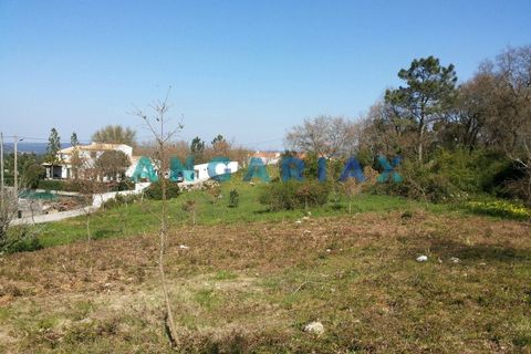 Helårsgrund i Leiria, Leiria, Leiria - € 55.000 | Ref: ANG1395 - foto 2