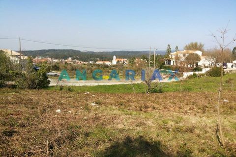 Helårsgrund i Leiria, Leiria, Leiria - € 55.000 | Ref: ANG1395 - foto 3