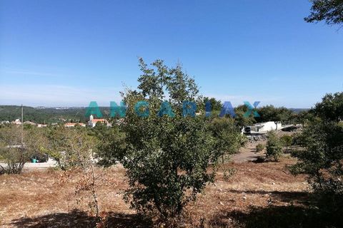 Helårsgrund i Leiria, Leiria, Leiria - € 55.000 | Ref: ANG1395 - foto 6