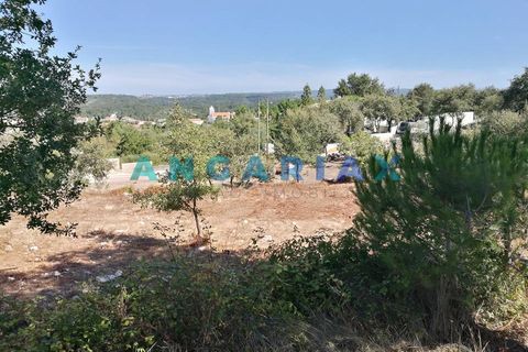 Helårsgrund i Leiria, Leiria, Leiria - € 55.000 | Ref: ANG1395 - foto 9