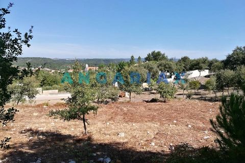 Helårsgrund i Leiria, Leiria, Leiria - € 55.000 | Ref: ANG1395 - foto 12