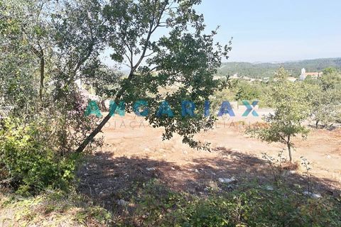 Helårsgrund i Leiria, Leiria, Leiria - € 55.000 | Ref: ANG1395 - foto 14