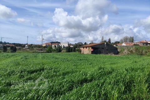 Helårsgrund i Esposende, Braga, Esposende - € 400.000 | Ref: 87/25 - foto 9