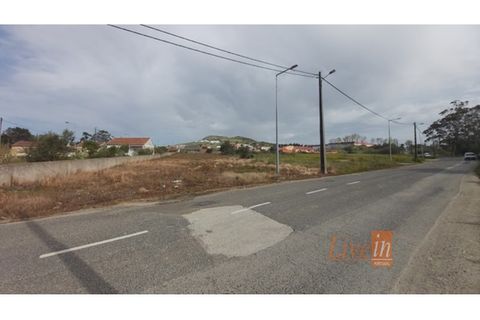 Helårsgrund i Lousa, Coimbra, Lousa - € 260.000 | Ref: 9593IA - foto 4