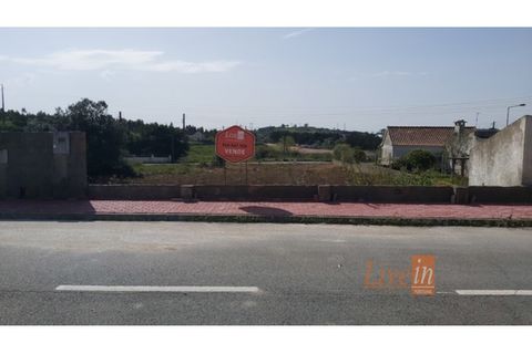 Helårsgrund i Lousa, Coimbra, Lousa - € 260.000 | Ref: 9593IA - foto 9