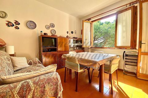 Lejlighed i Rosignano Marittimo, Livorno, Rosignano Marittimo - € 209.000 | Ref: C992 - foto 1
