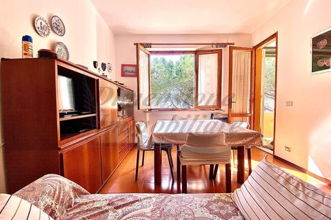 Lejlighed i Rosignano Marittimo, Livorno, Rosignano Marittimo - € 209.000 | Ref: C992 - foto 2