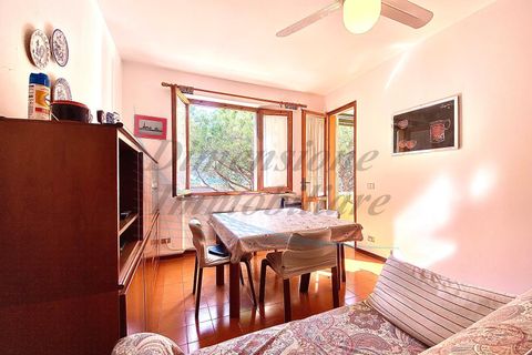 Lejlighed i Rosignano Marittimo, Livorno, Rosignano Marittimo - € 209.000 | Ref: C992 - foto 3