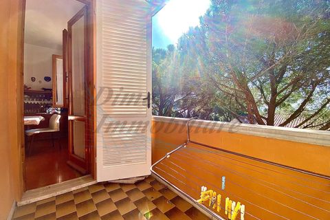 Lejlighed i Rosignano Marittimo, Livorno, Rosignano Marittimo - € 209.000 | Ref: C992 - foto 8
