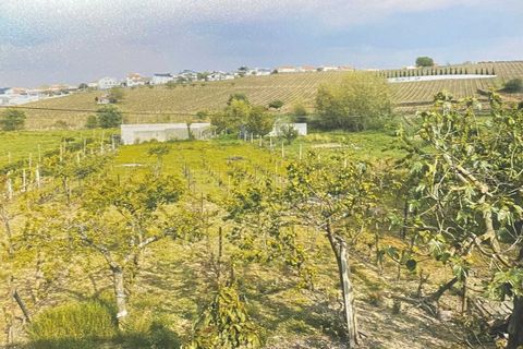 Villa a Alijo, Vila Real, Alijo - € 235.000 | Ref: SF-SAFTI:005758 - foto 3