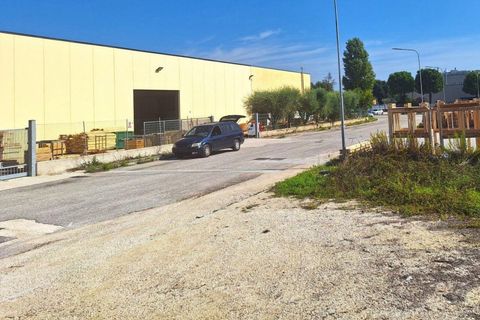 Terra a Recanati, Macerata, Recanati - € 60.601 | Ref: 24564 - foto 9