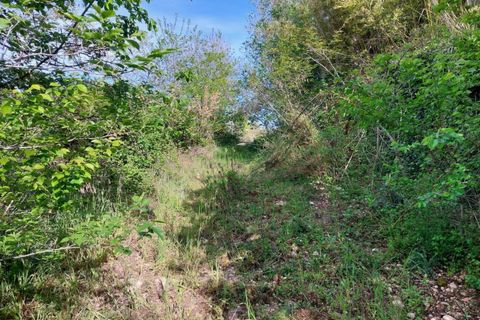Terra a Ortona, Chieti, Ortona - € 125.303 | Ref: 24768 - foto 5