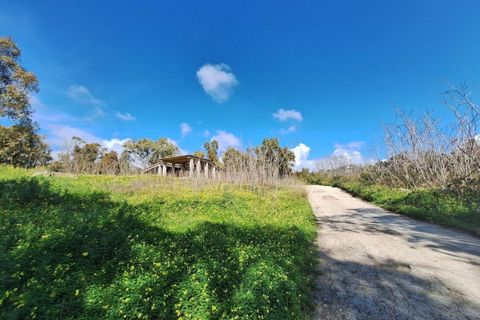 Terra a Realmonte, Agrigento, Realmonte - € 188.262 | Ref: 25677 - foto 3