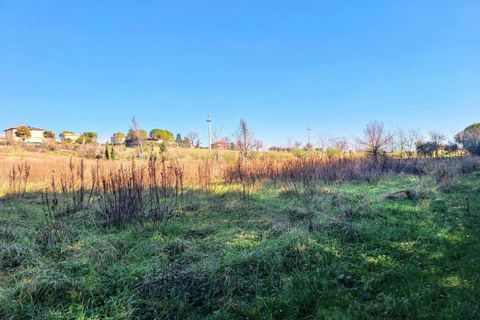 Terra a Appignano, Macerata, Appignano - € 52.900 | Ref: 25500 - foto 6