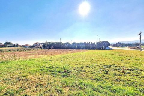 Terra a Appignano, Macerata, Appignano - € 52.900 | Ref: 25500 - foto 8