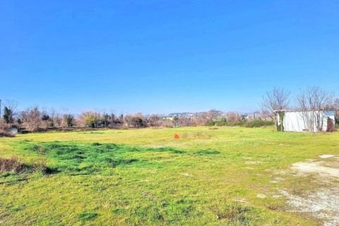 Terra a Appignano, Macerata, Appignano - € 207.878 | Ref: 25499 - foto 3