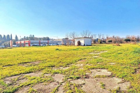 Terra a Appignano, Macerata, Appignano - € 207.878 | Ref: 25499 - foto 7