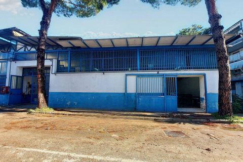 Erhvervsejendom i Naples, Naples, Naples - € 482.133 | Ref: 21351 - foto 2