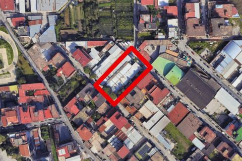 Erhvervsejendom i Naples, Naples, Naples - € 482.133 | Ref: 21351 - foto 27