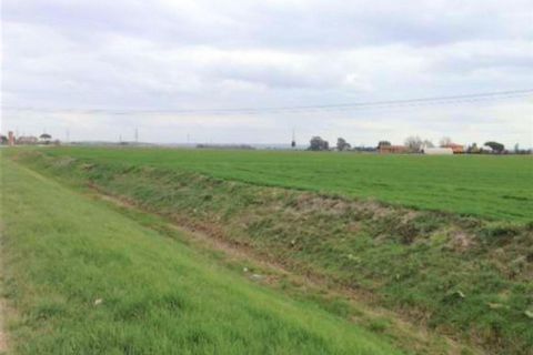 Terra a Cascina, Pisa, Cascina - € 257.154 | Ref: 18510 - foto 5
