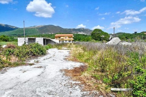 Terra a Isernia, Isernia, Isernia - € 151.243 | Ref: 12942 - foto 21