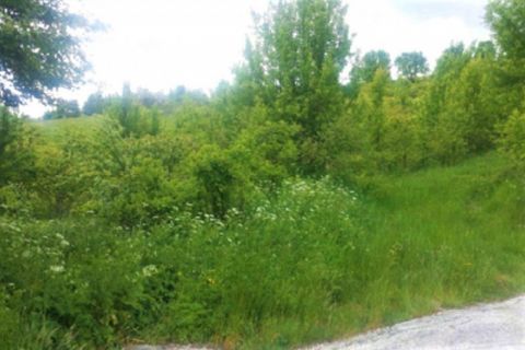Helårsgrund i Pescocostanzo, L'Aquila, Pescocostanzo - € 312.683 | Ref: 12435 - foto 12