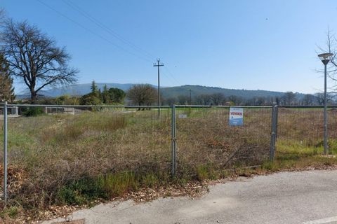 Terra a Corciano, Perugia, Corciano - € 54.060 | Ref: 12301 - foto 8