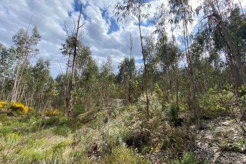 Helårsgrund i Tondela, Viseu, Tondela - € 40.000 | Ref: SF-SAFTI:006599 - foto 3