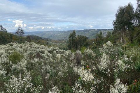Helårsgrund i Tondela, Viseu, Tondela - € 40.000 | Ref: SF-SAFTI:006599 - foto 4