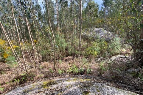 Helårsgrund i Tondela, Viseu, Tondela - € 40.000 | Ref: SF-SAFTI:006599 - foto 5