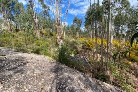 Helårsgrund i Tondela, Viseu, Tondela - € 40.000 | Ref: SF-SAFTI:006599 - foto 6