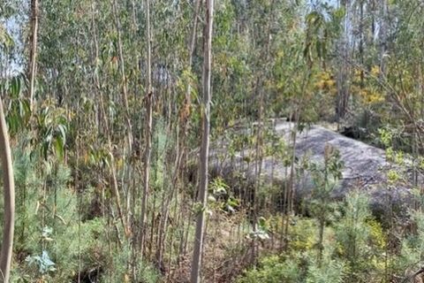 Helårsgrund i Tondela, Viseu, Tondela - € 40.000 | Ref: SF-SAFTI:006599 - foto 8