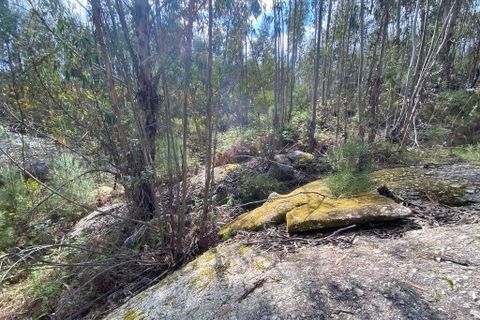 Helårsgrund i Tondela, Viseu, Tondela - € 40.000 | Ref: SF-SAFTI:006599 - foto 11